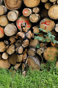 NATURE ART: Holzstapel / Wood Pile Bodypainting