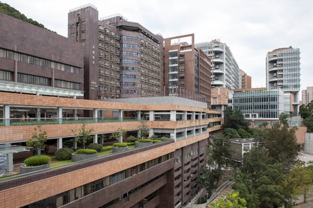Universität Hongkong