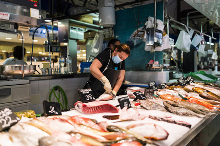 Sightseeing Mallocra