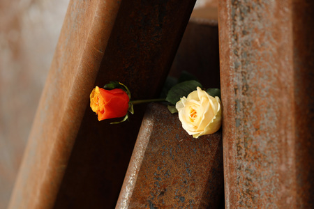 Gedenkfeier zum 10. Jahrestag der Loveparade Katastrophe in Duisburg