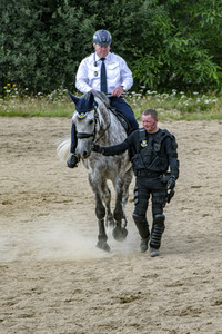 Ministerpräsident Michael Kretschmer zu Besuch bei Polizei-Reiterstaffel in Radeberg