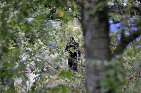 Ermittlungen des BKA im Fall Maddie McCann in einem Schrebergarten in Seelze