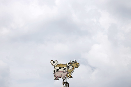 Die Firma Tönnies in Rheda-Wiedenbrück