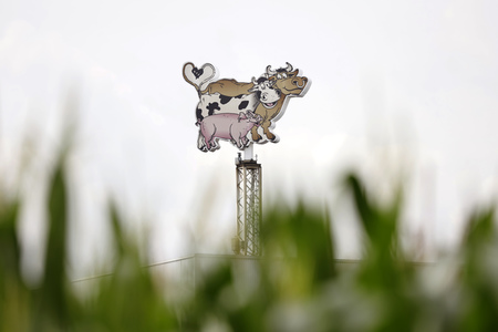 Die Firma Tönnies in Rheda-Wiedenbrück