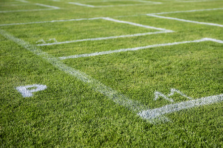 Auftritt von Martin Rütter in Erfurt