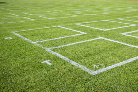 Auftritt von Martin Rütter in Erfurt