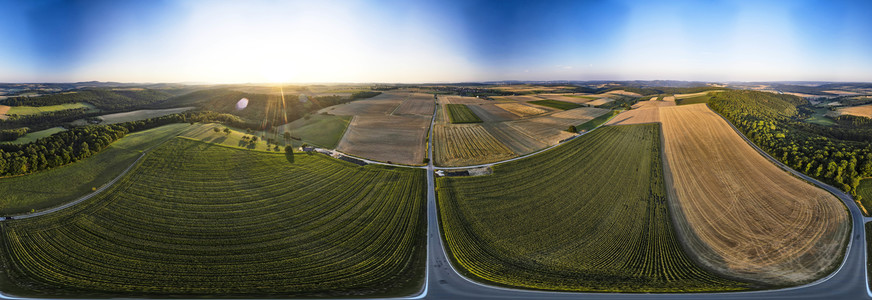 Symbolfoto Getreideernte
