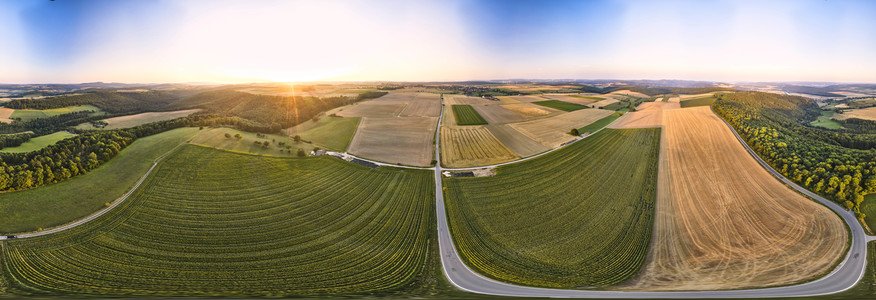 Symbolfoto Getreideernte