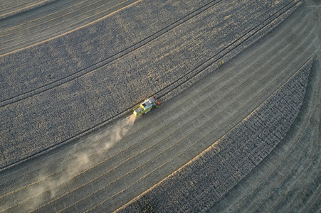 Symbolfoto Getreideernte