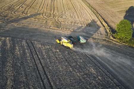 Symbolfoto Getreideernte