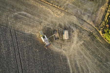 Symbolfoto Getreideernte