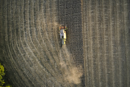 Symbolfoto Getreideernte