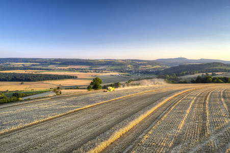 Symbolfoto Getreideernte