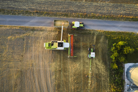 Symbolfoto Getreideernte