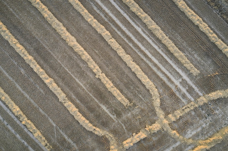 Symbolfoto Getreideernte