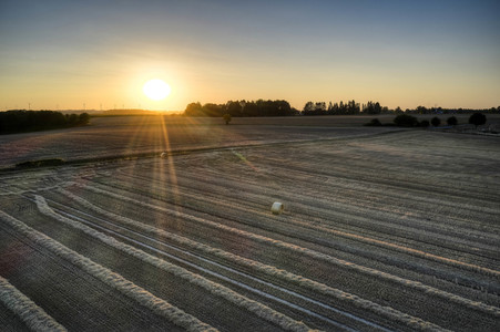 Symbolfoto Getreideernte