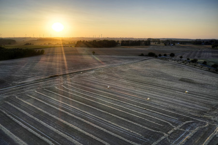 Symbolfoto Getreideernte