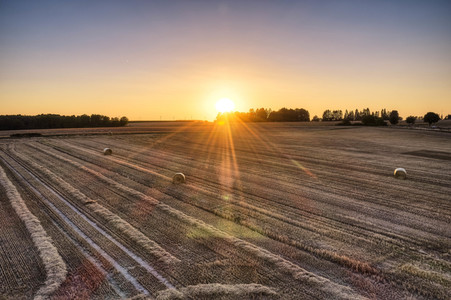 Symbolfoto Getreideernte