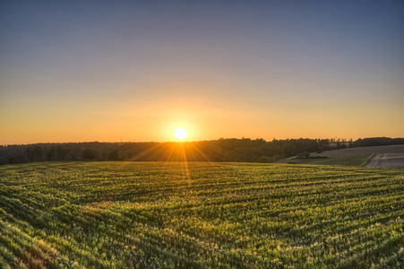 Symbolfoto Getreideernte