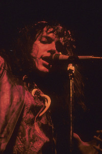 Konzert von The Fuzztones in London