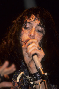 Konzert von The Fuzztones in London