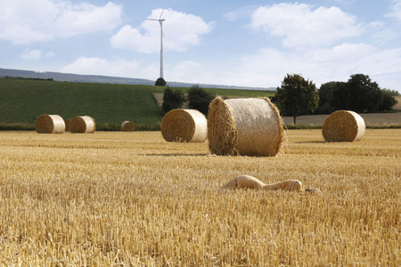 NATURE ART: Stoppelfeld / Stubble Field Bodypainting