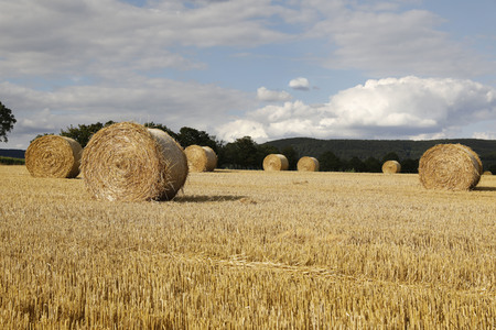 NATURE ART: Stoppelfeld / Stubble Field Bodypainting