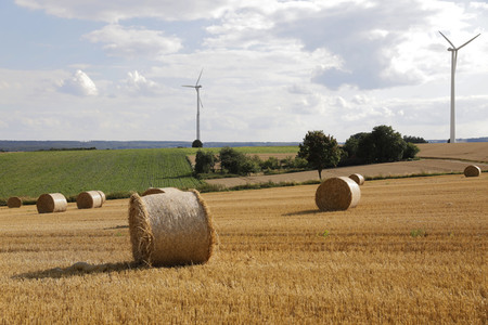 NATURE ART: Stoppelfeld / Stubble Field Bodypainting