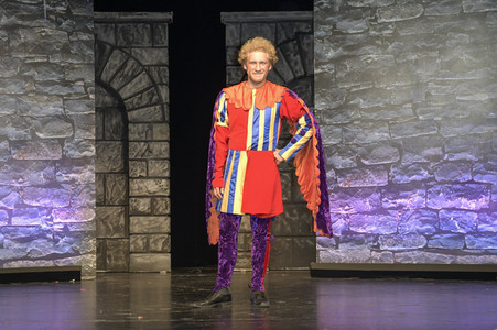 Medienpremiere 'Monty Python’s Spamalot - die Suche nach dem heiligen Gral' in Berlin