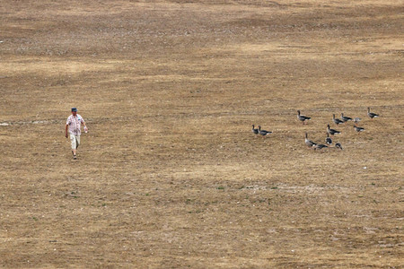 Symbolfoto Vertrocknete Parkanlagen