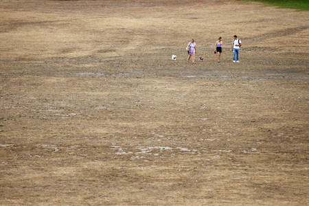 Symbolfoto Vertrocknete Parkanlagen