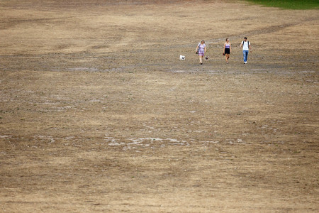 Symbolfoto Vertrocknete Parkanlagen