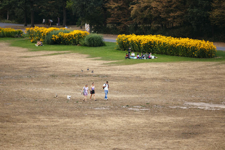 Symbolfoto Vertrocknete Parkanlagen
