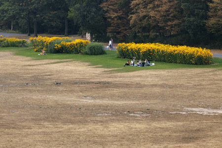 Symbolfoto Vertrocknete Parkanlagen