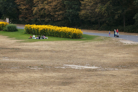 Symbolfoto Vertrocknete Parkanlagen