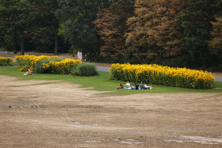 Symbolfoto Vertrocknete Parkanlagen