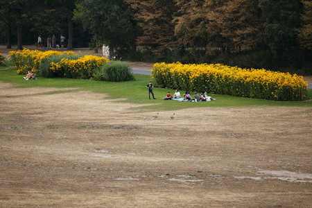 Symbolfoto Vertrocknete Parkanlagen
