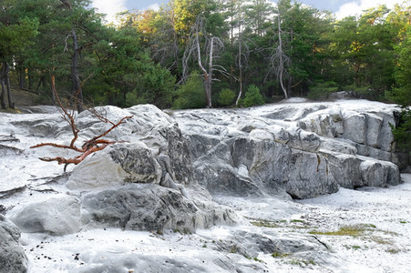 Bodypainting in Nature Kalender 2021