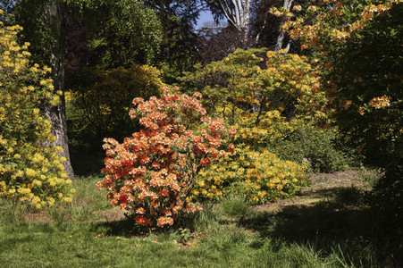 Bodypainting in Nature Kalender 2021