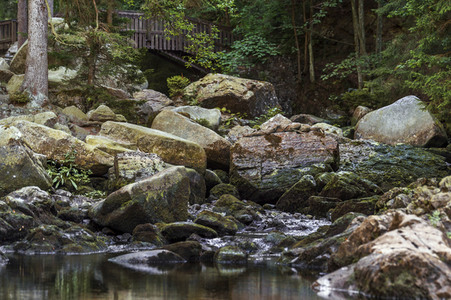 Bodypainting in Nature Kalender 2021