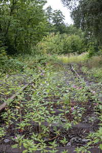 Symbolfoto stillgelegte Bahntrasse