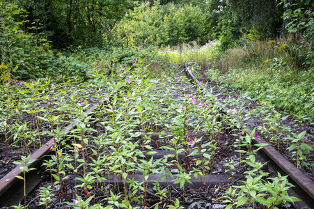 Symbolfoto stillgelegte Bahntrasse