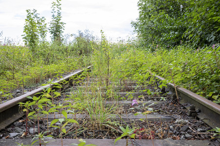 Symbolfoto stillgelegte Bahntrasse