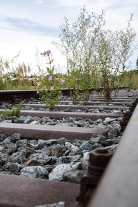 Symbolfoto stillgelegte Bahntrasse