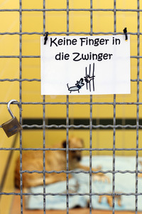Symbolfoto Tierheim