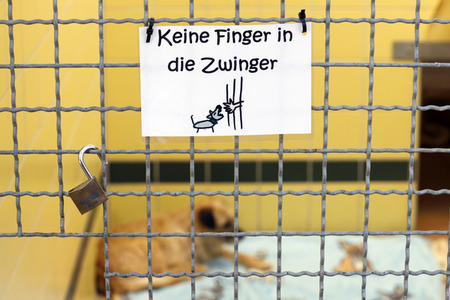 Symbolfoto Tierheim