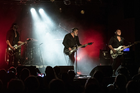 Konzert von Falkenberg & Die Band in Dresden