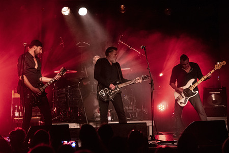 Konzert von Falkenberg & Die Band in Dresden