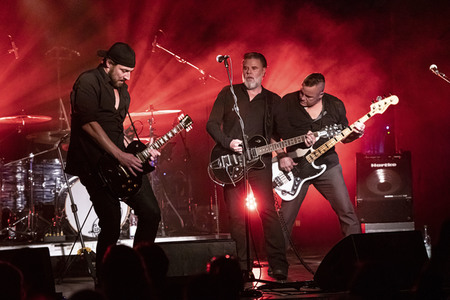 Konzert von Falkenberg & Die Band in Dresden