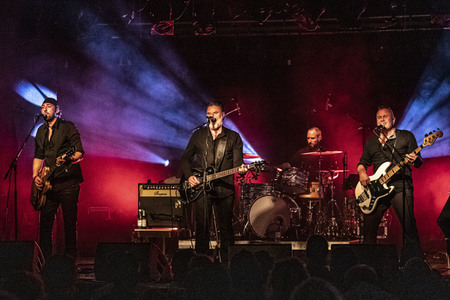 Konzert von Falkenberg & Die Band in Dresden